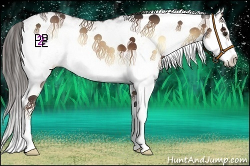 Horse Color:White Spotted Liver Red Onyx Splash