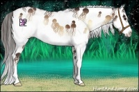 Horse Color:White Spotted Liver Red Onyx Splash