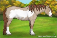 Horse Color:Red Dun Roan Frame Rabicano