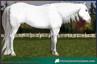 Horse Color:White Spotted Liver Red Roan Appaloosa 