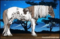 Horse Color:White Spotted Liver Chestnut Ice Tobiano Blanket