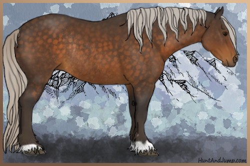 Horse Color:Silver Brown Rabicano