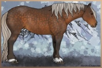 Horse Color:Silver Brown Rabicano 