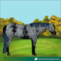 Horse Color:ERROR: UNKNOWN ANOMALY