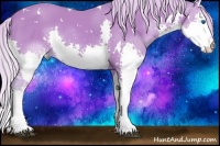 Horse Color:Watercolor White Spotted Silver Black Splash Tobiano
