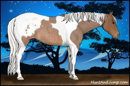 Horse Color:Silver Brown Roan Tobiano Blanket 