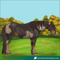 Horse Color:Classic Champagne  and Liver Chestnut 