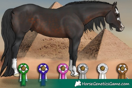 Horse Color:Brown 