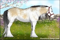 Horse Color:White Spotted Buckskin Dun Splash 