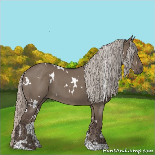 Horse Color:White Spotted Silver Grullo 