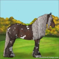 Horse Color:White Spotted Silver Brown