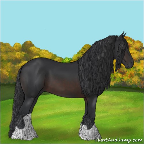 Horse Color:Brown 