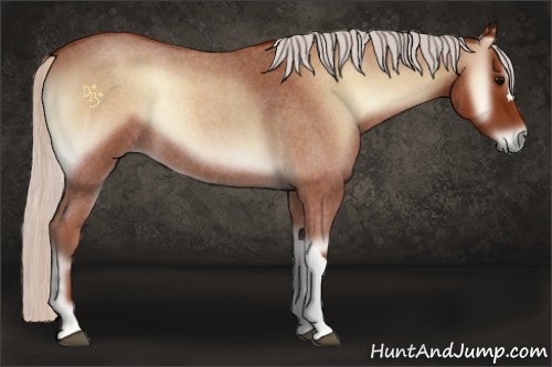 Horse Color:Silver Bay Roan Onyx