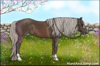 Horse Color:Silver Brown 
