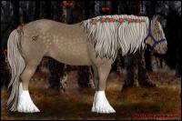 Horse Color:Chocolate Palomino 