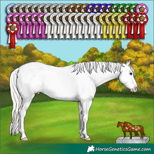 Horse Color:Silver Grullo Sabino Tobiano Appaloosa 