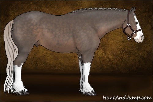 Horse Color:Silver Black Sabino Splash