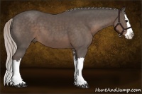Horse Color:Silver Black Sabino Splash