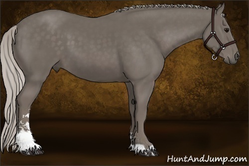 Horse Color:Silver Smoky Black Sabino 