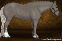 Horse Color:Silver Smoky Black Sabino 