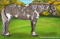 Horse Color:White Spotted Silver Black Sabino 