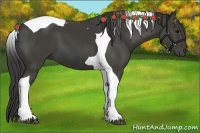 Horse Color:Smoky Black Tobiano 