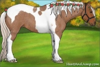 Horse Color:Silver Bay Roan Tobiano 