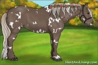 Horse Color:White Spotted Silver Black 