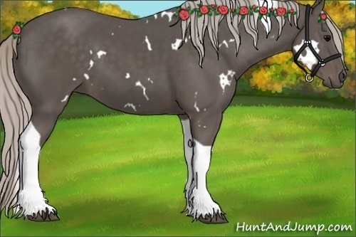 Horse Color:White Spotted Silver Black Tobiano