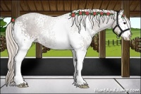 Horse Color:White Spotted Silver Black Rabicano