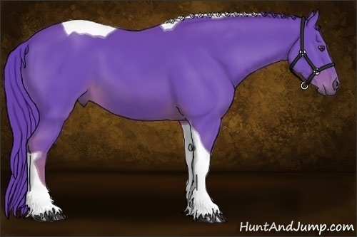 Horse Color:Watercolor Chestnut Tobiano 