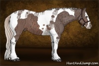 Horse Color:Silver Brown Ice Splash Tobiano