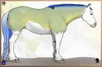 Horse Color:Watercolor Brown Splash