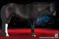 Horse Color:Midnight Blue Onyx Varnish 