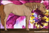 Horse Color:Red Roan 