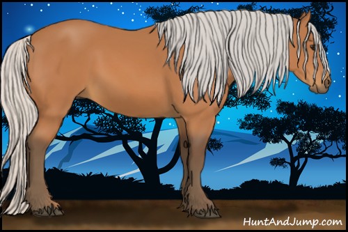 Horse Color:Silver Bay