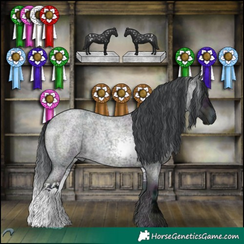 Horse Color:White Spotted Midnight Brown Chinchilla Roan Onyx 