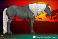 Horse Color:Liver Chestnut Ice Mushroom Rabicano 