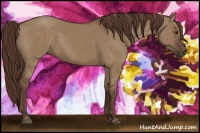 Horse Color:Liver Red Dun 