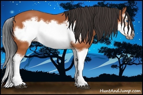Horse Color:Bay Splash Frame