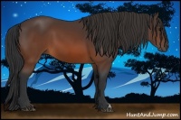 Horse Color:Brown 