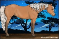 Horse Color:Silver Bay 