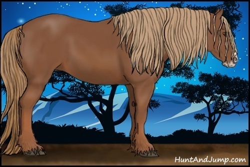 Horse Color:Chestnut Splash Frame 