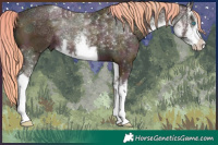 Horse Color:Watercolor White Spotted Midnight Smoky Creme 