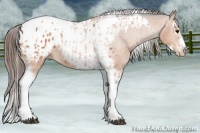 Horse Color:Bay Splash Tobiano Appaloosa  and Bay Splash Tobiano Frame Appaloosa 
