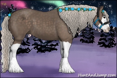 Horse Color:Silver Black Splash