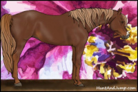 Horse Color:Gray Chestnut 