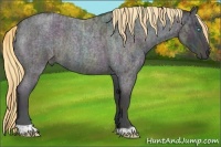 Horse Color:Midnight Buckskin Ice Roan Pearl and Midnight Buckskin Ice Roan Pearl