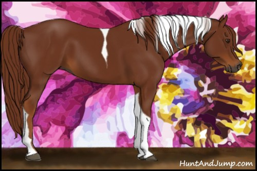 Horse Color:Gray Chestnut Tobiano