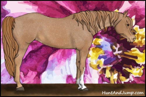 Horse Color:Chestnut Varnish